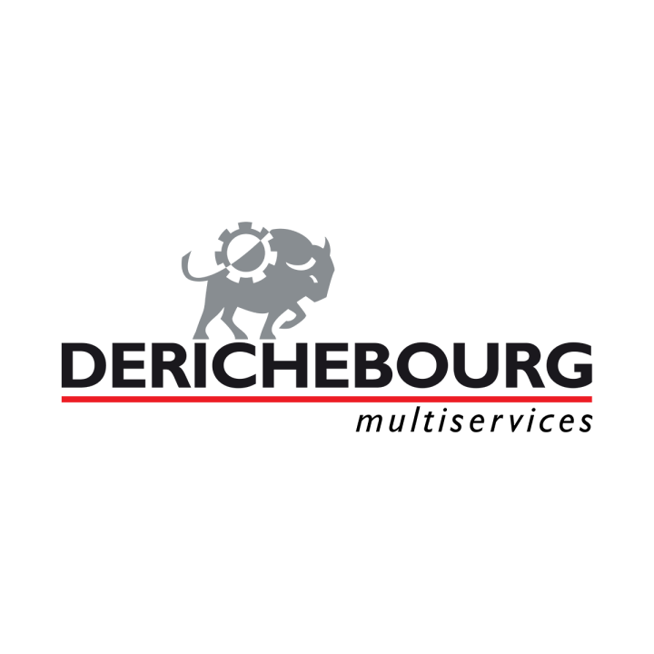 Logo DERICHEBOURG multiservices